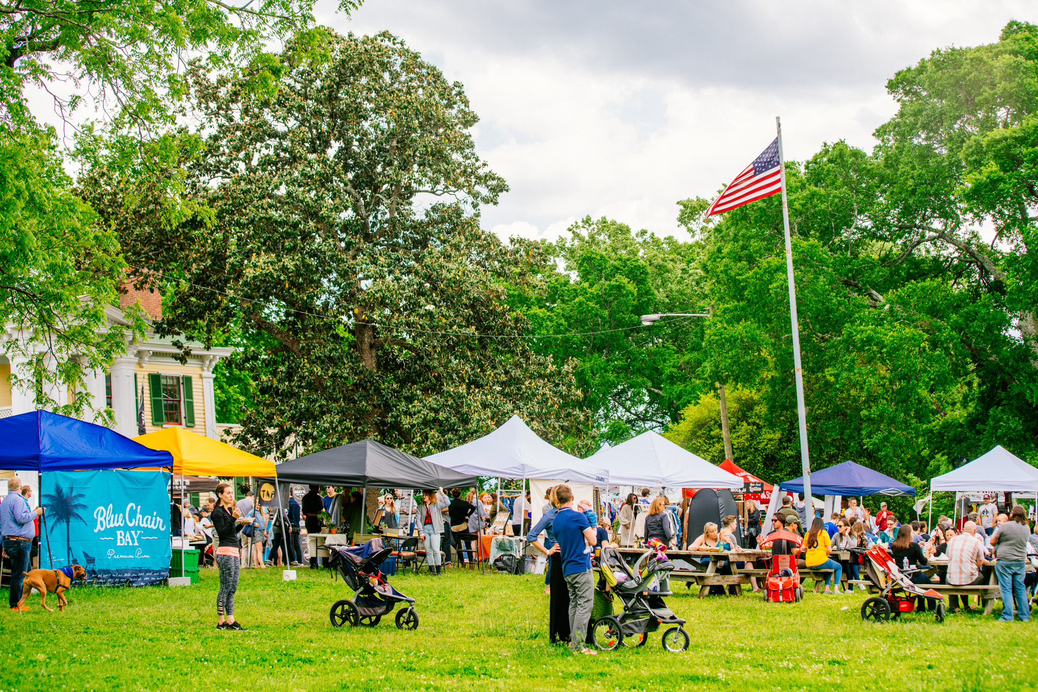 Sevier Park Fest 2017-67.jpg