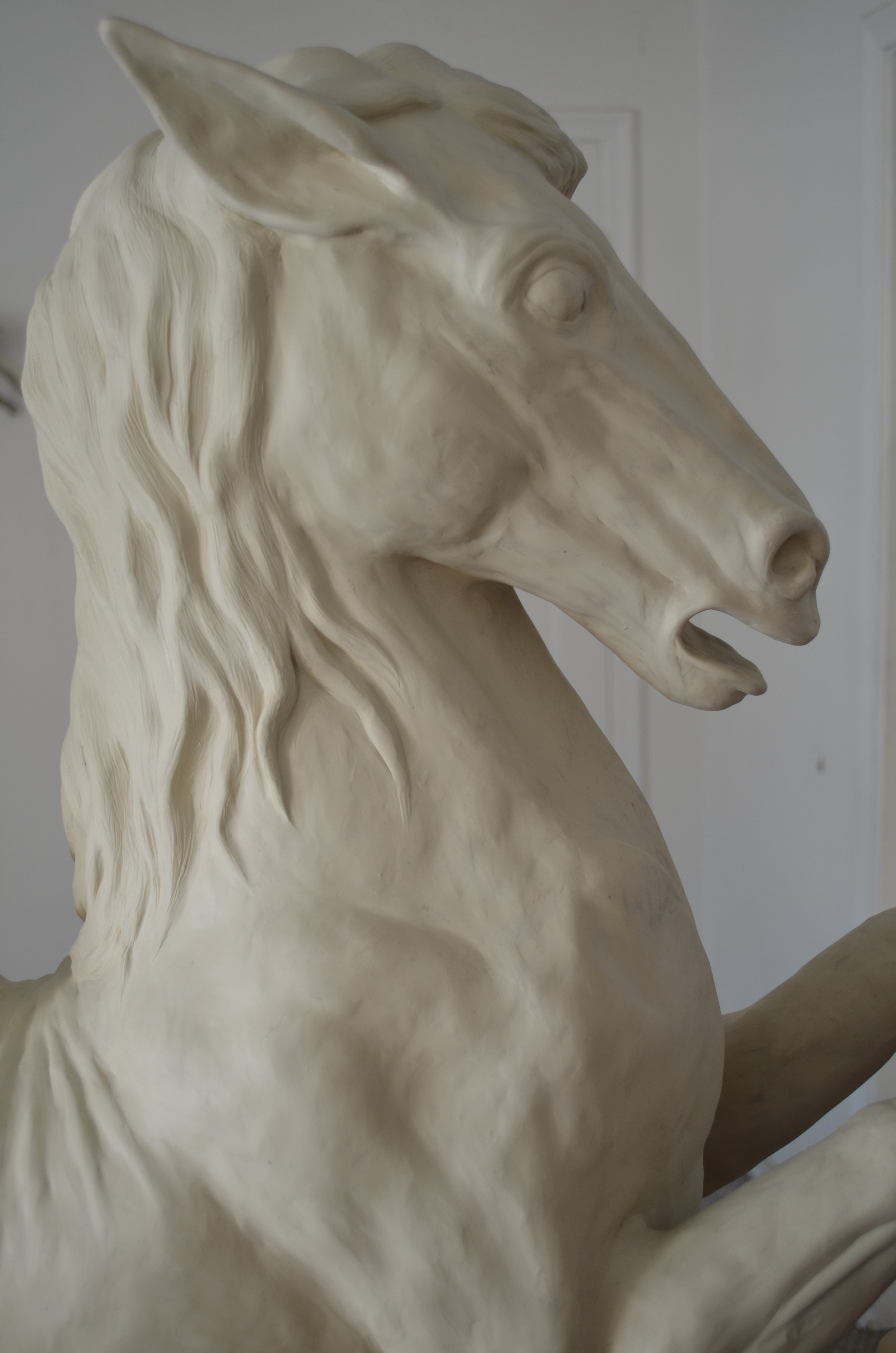 Hippocampus  By-Statues.com  Artist-Craig Fisher