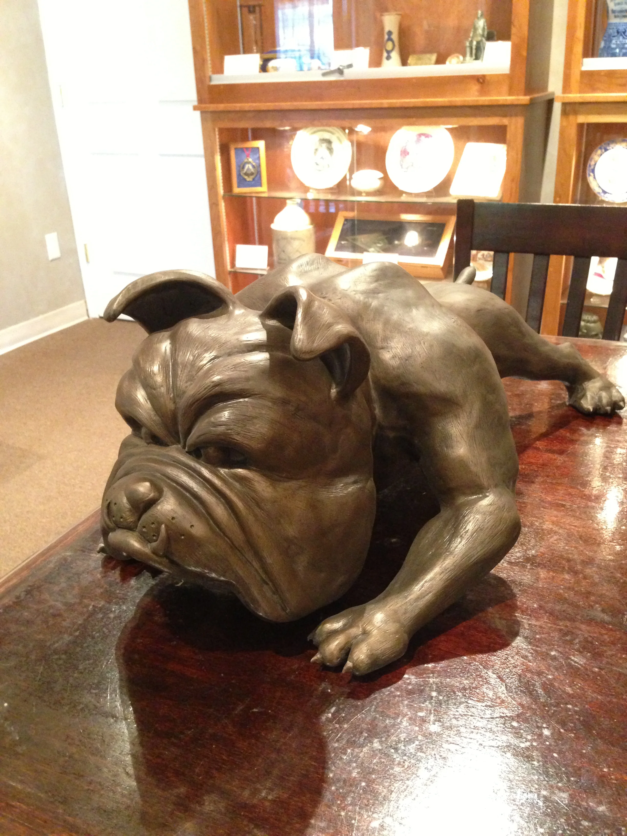 Craig-Fisher-Gardner-Webb-Bulldog-6.JPG