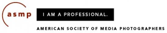 asmp_professional-548x109.jpg