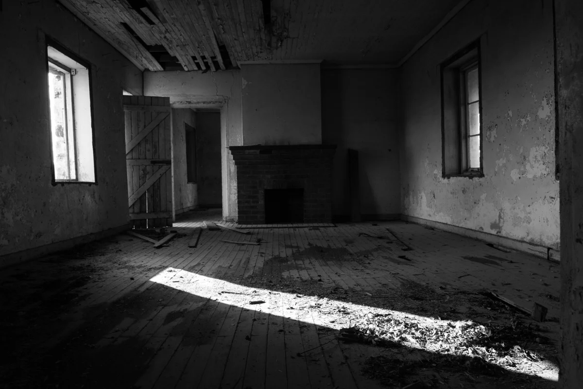 Revealing Sun by Nolan Ferlic. Artist Statement: “Everything in various stages of decay."
