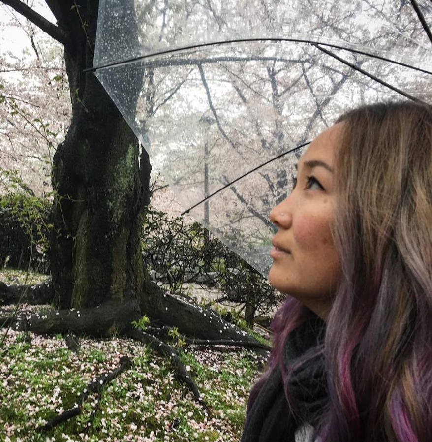 Screen Shot 2017-09-15 at 3.33.02 PM.png