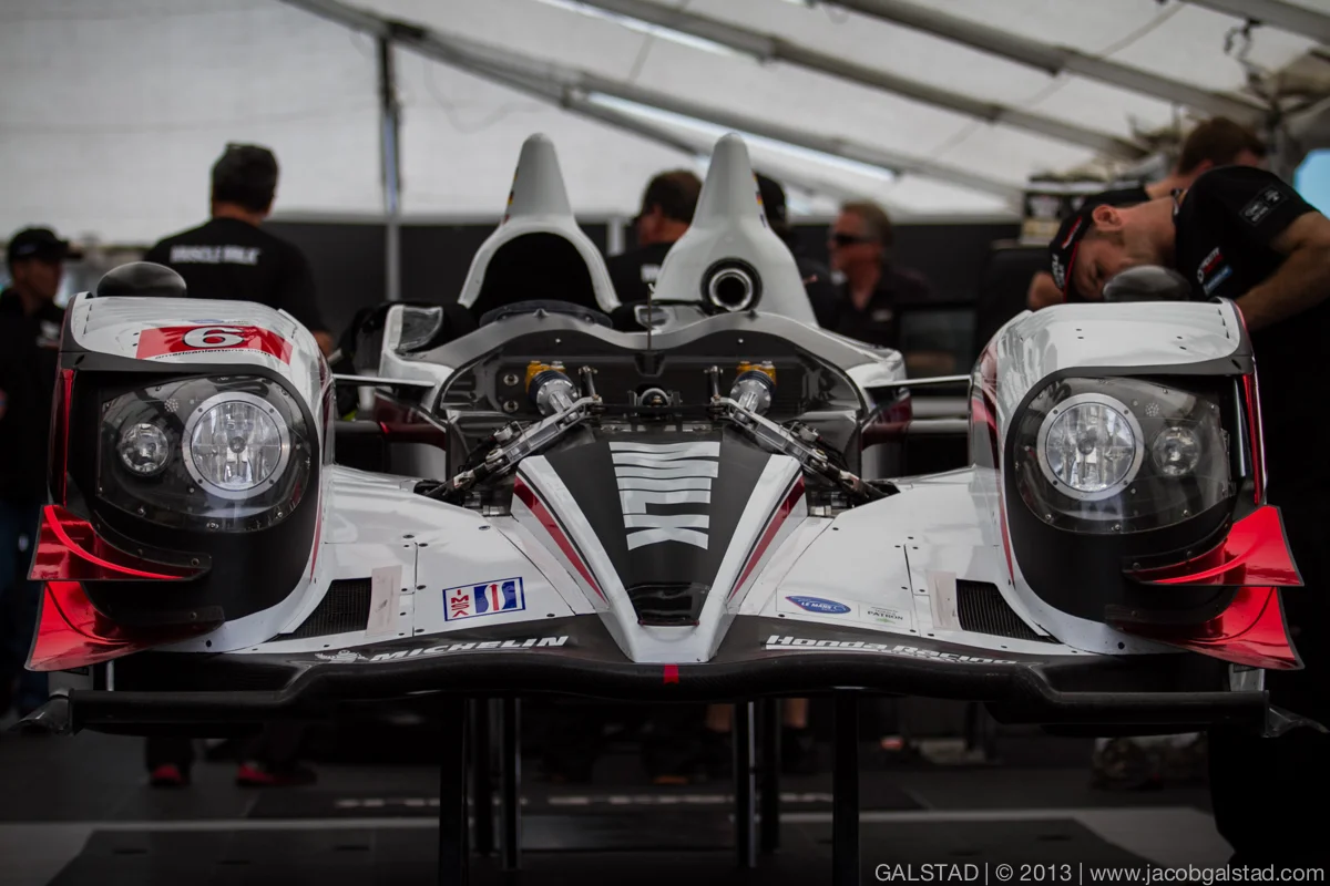 MuscleMilk_paddock.jpg