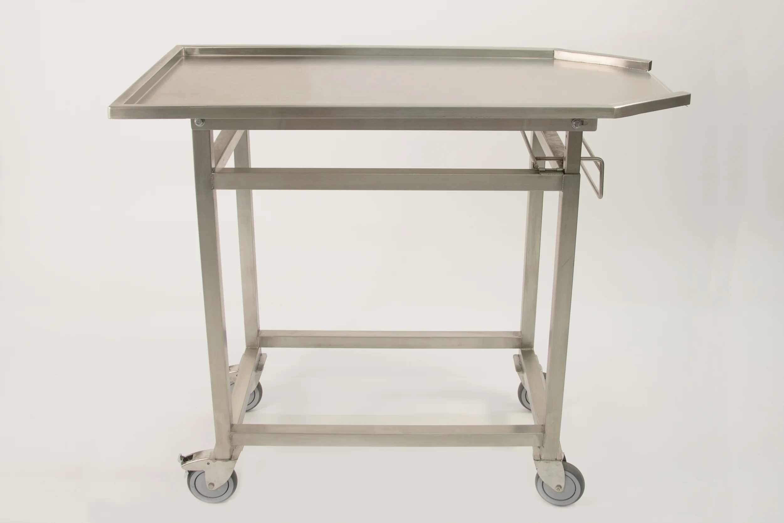 Tipping Cart pathology-1.jpg