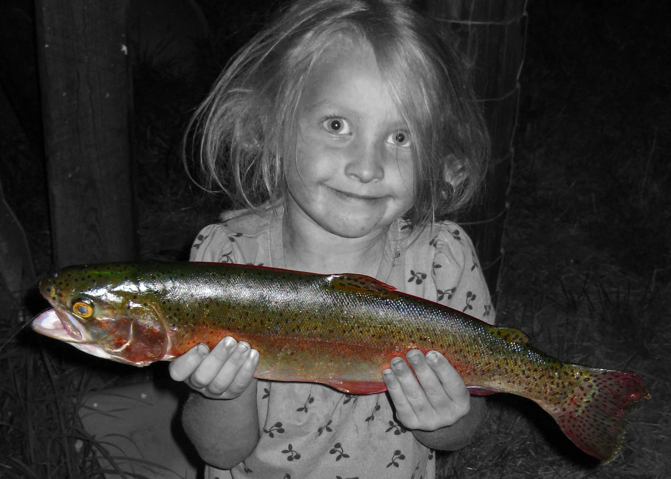 Colorado — Ladder Ranch