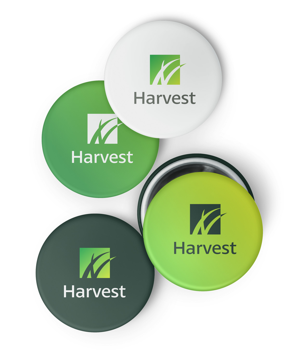 Harvest-Buttons-0526-2015-03-11.jpg