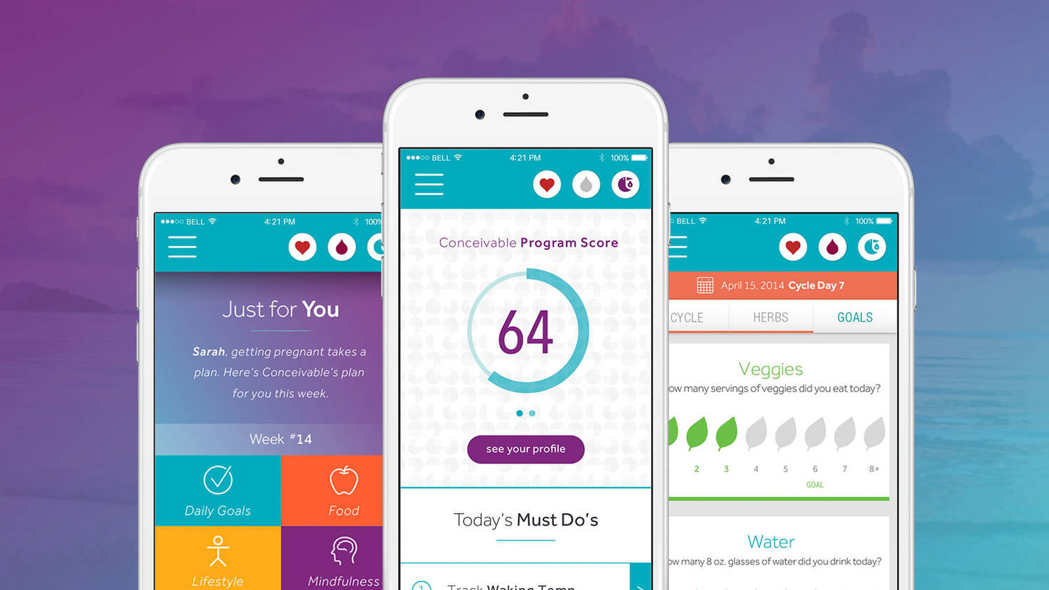 Is Your Menstrual Cycle “Conceivable”?