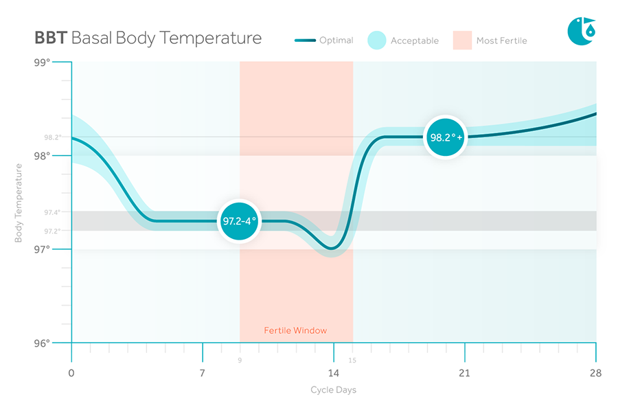 What a healthy BBT chart should looks like.