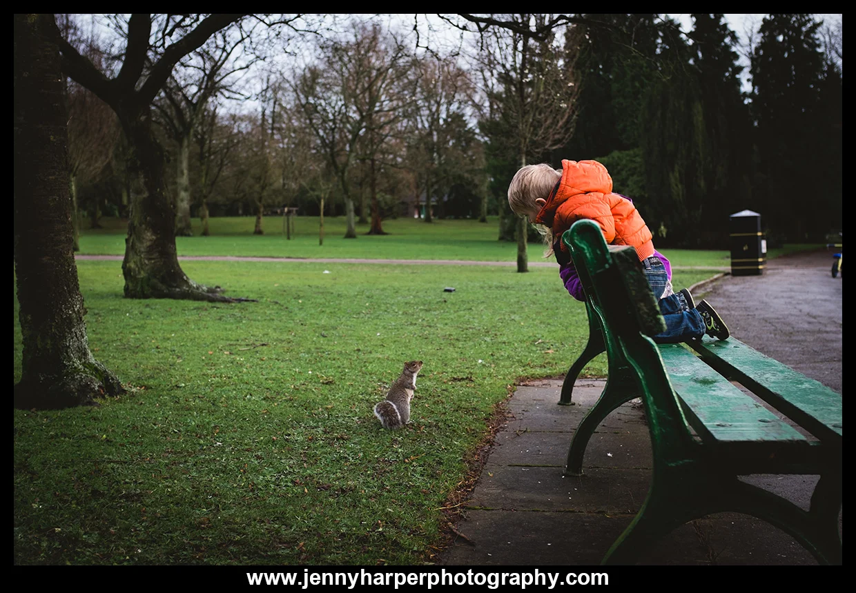 SQUIRREL!-Web-Post.jpg