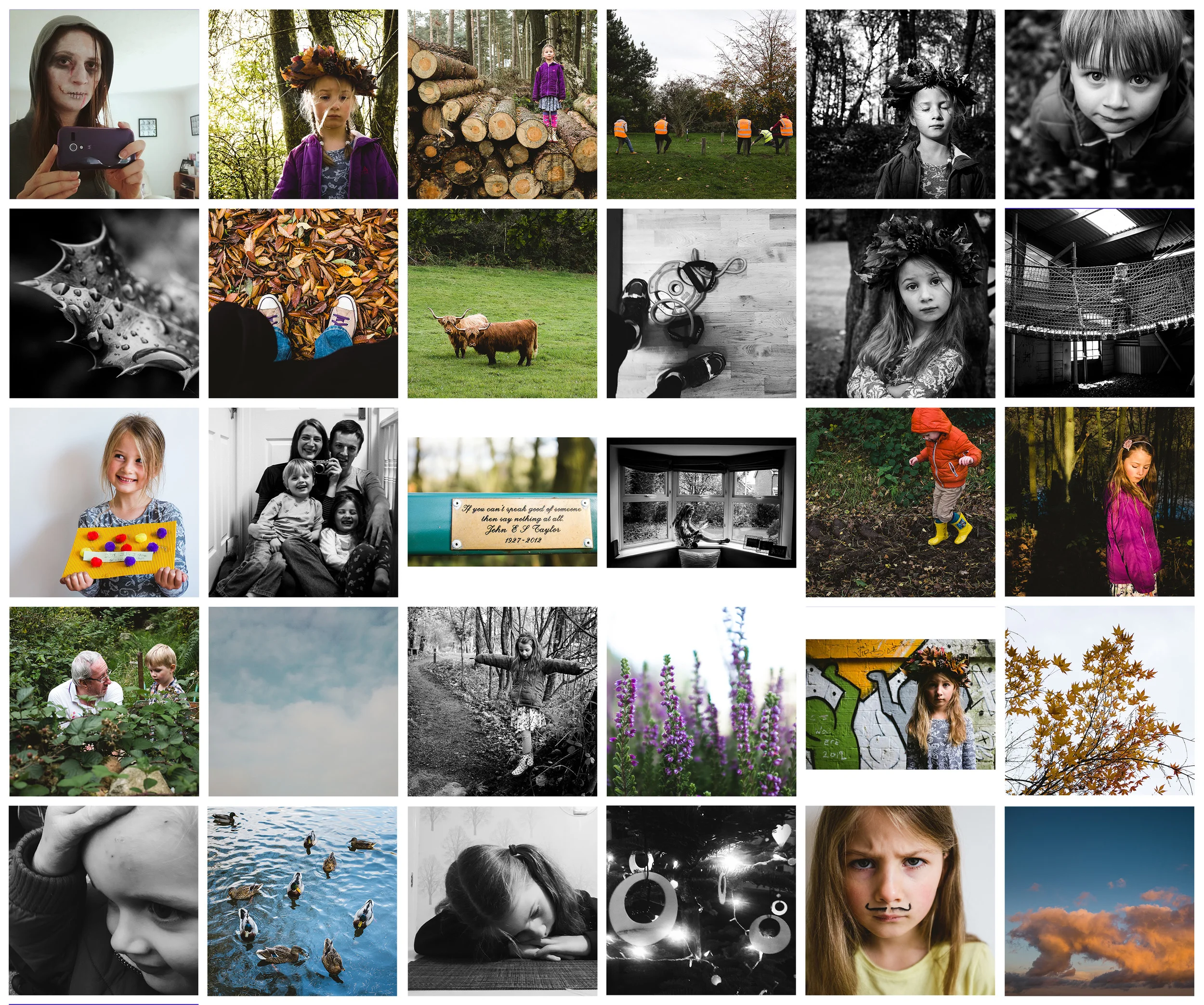 Photography Projects 2014 - November