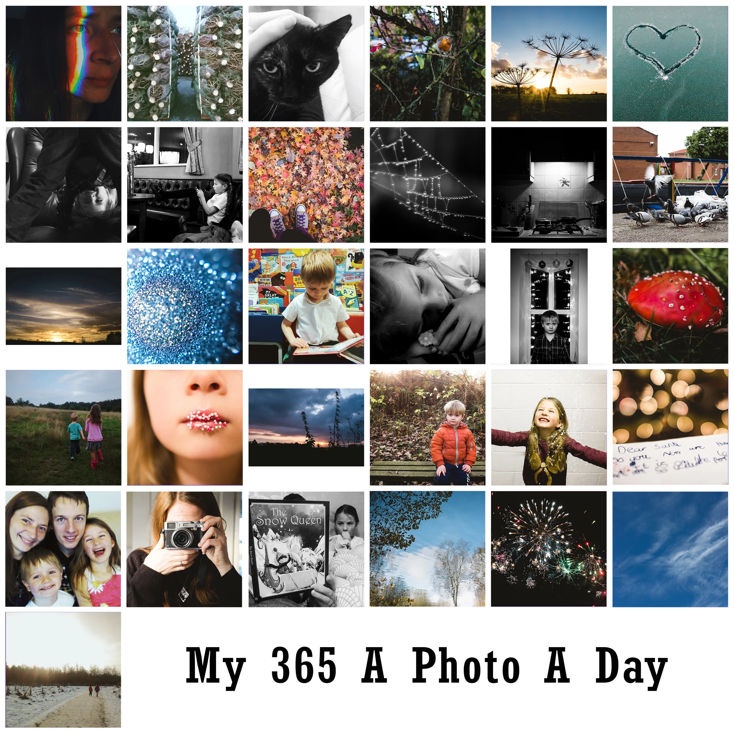 Photography Projects 2014 - December