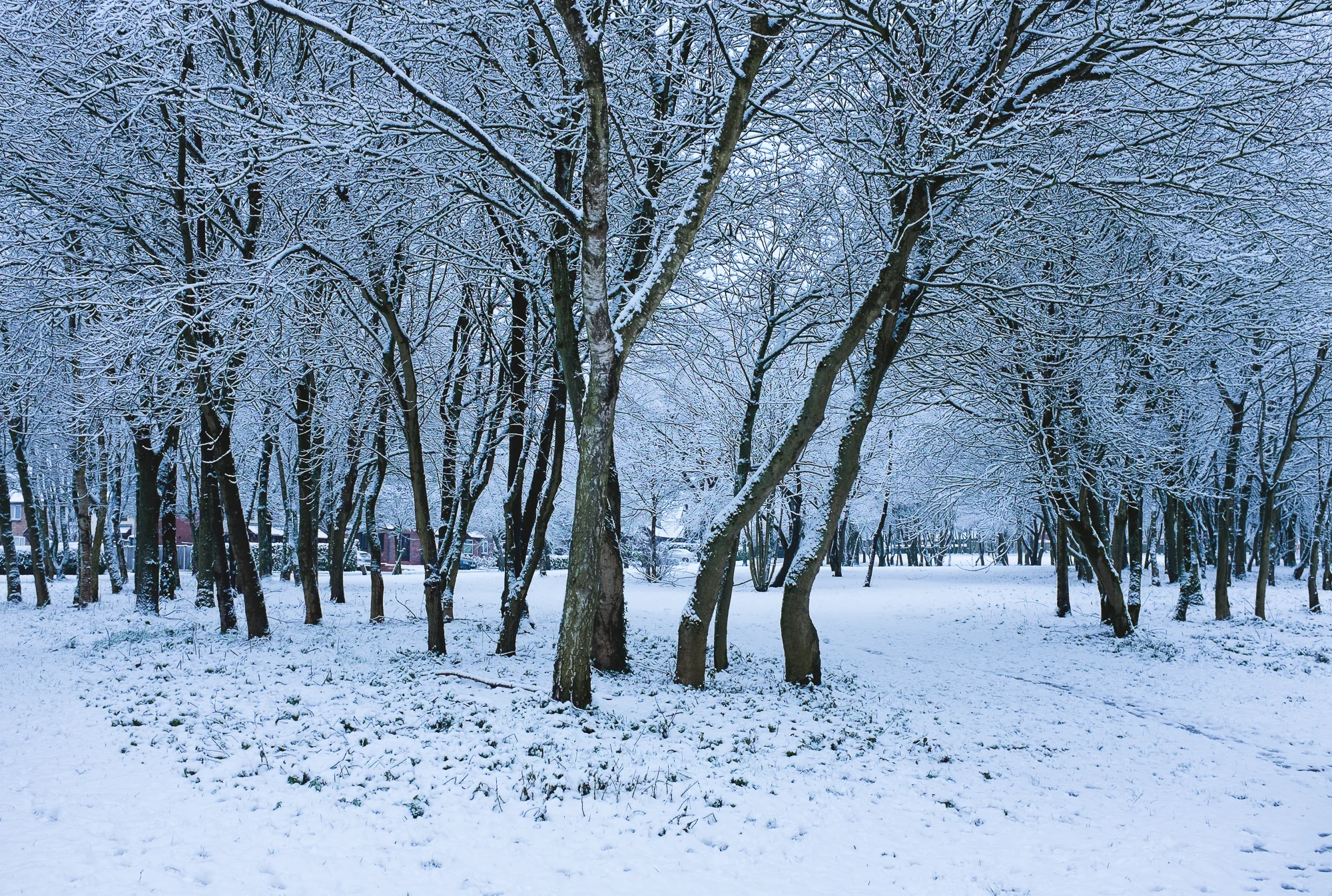 Winter Photography with Snow in Staffordshire