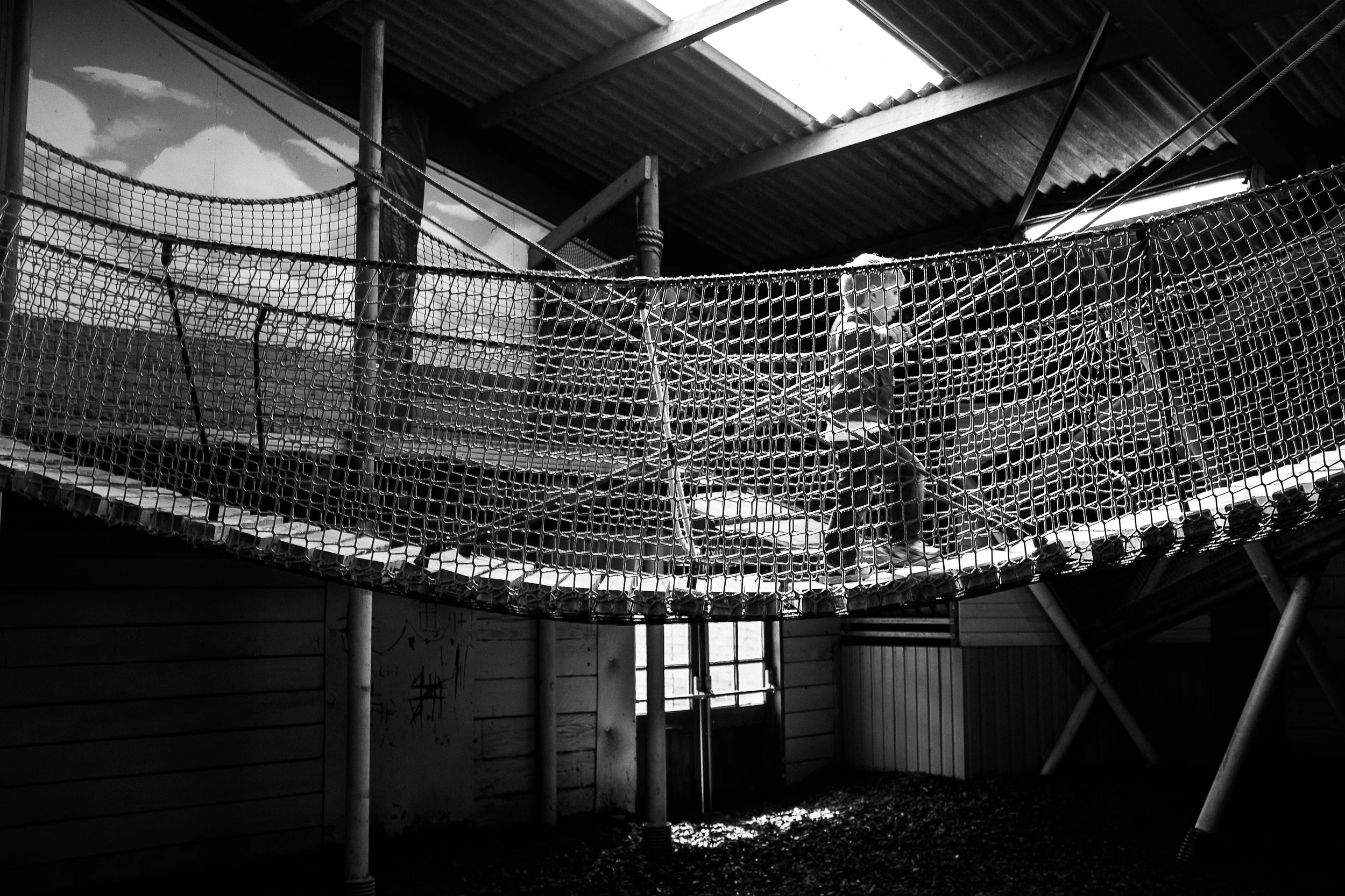 Ropebridge - Amerton Farm, Stafford - August 2014