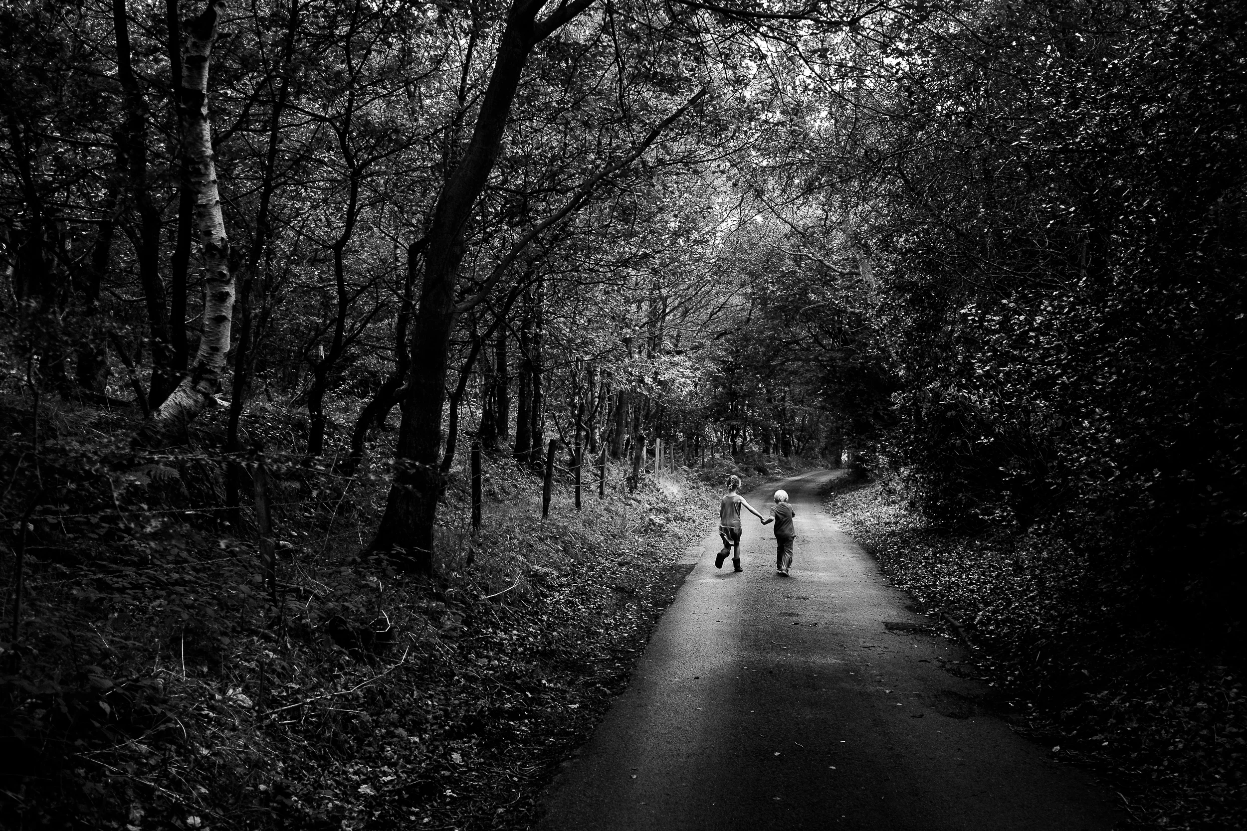 Lane - Dilhorne, Staffordshire - September 2014
