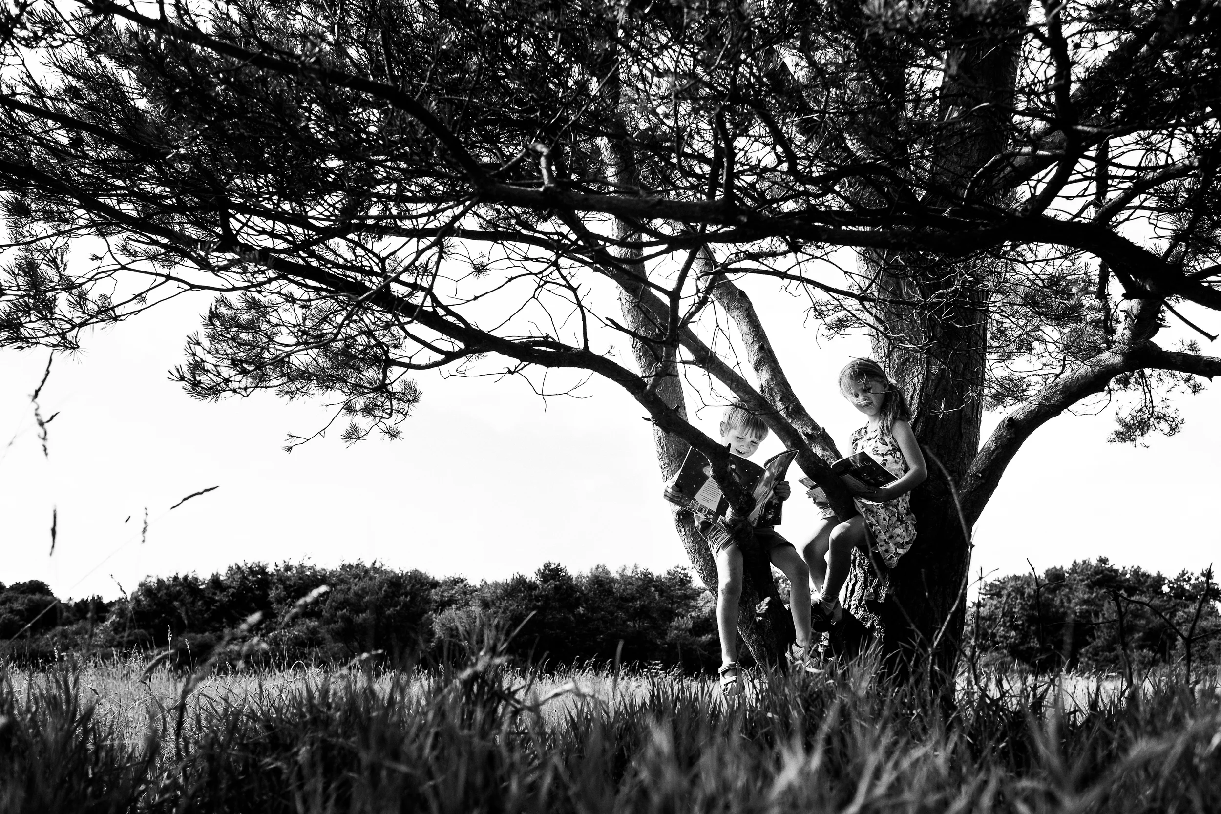 Summer Reading - Park Hall Country Park, Stoke-on-Trent - July 2014