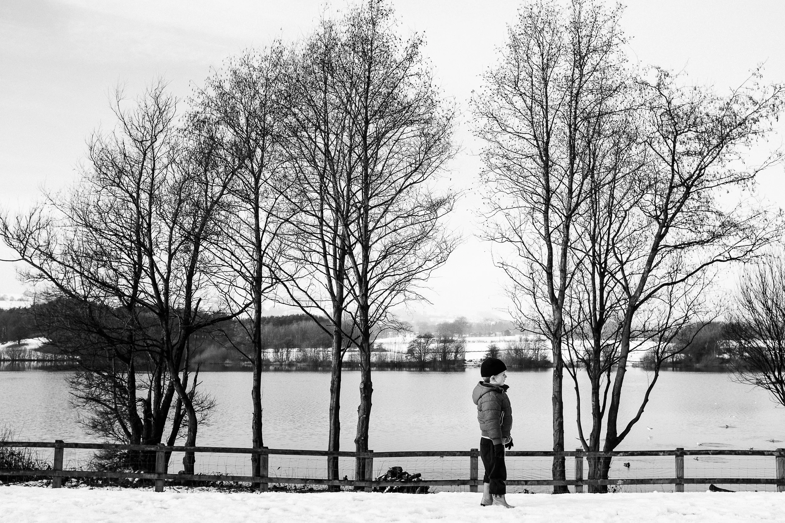 Winter - Tittesworth Reservoir, Staffordshire - December 2014