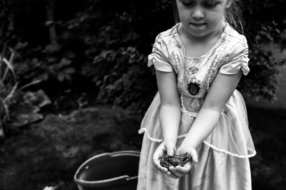 Day 4 - The Princess and The Frog