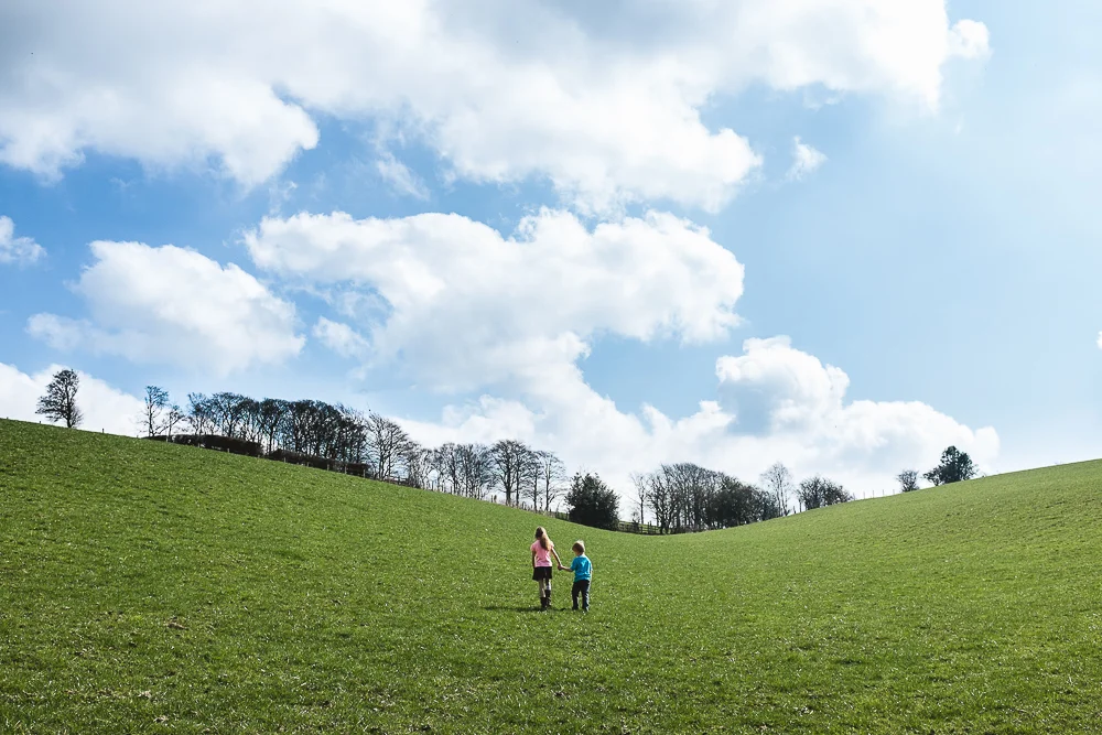 2015 End of Year Review | Jenny Harper Photography