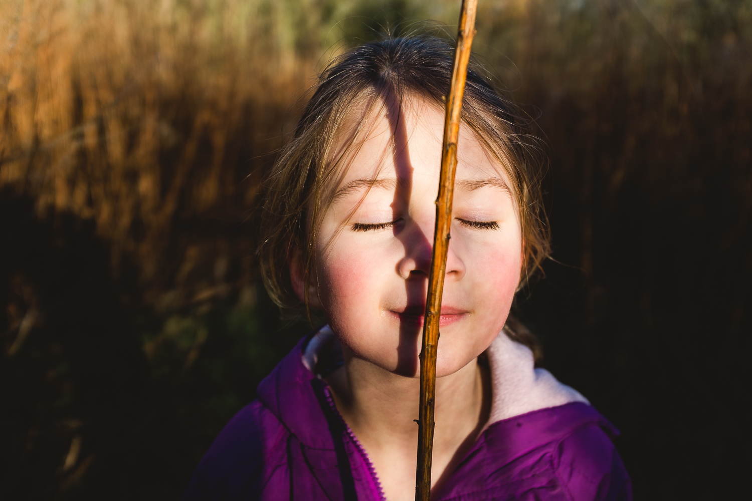 Winter sun and a stick