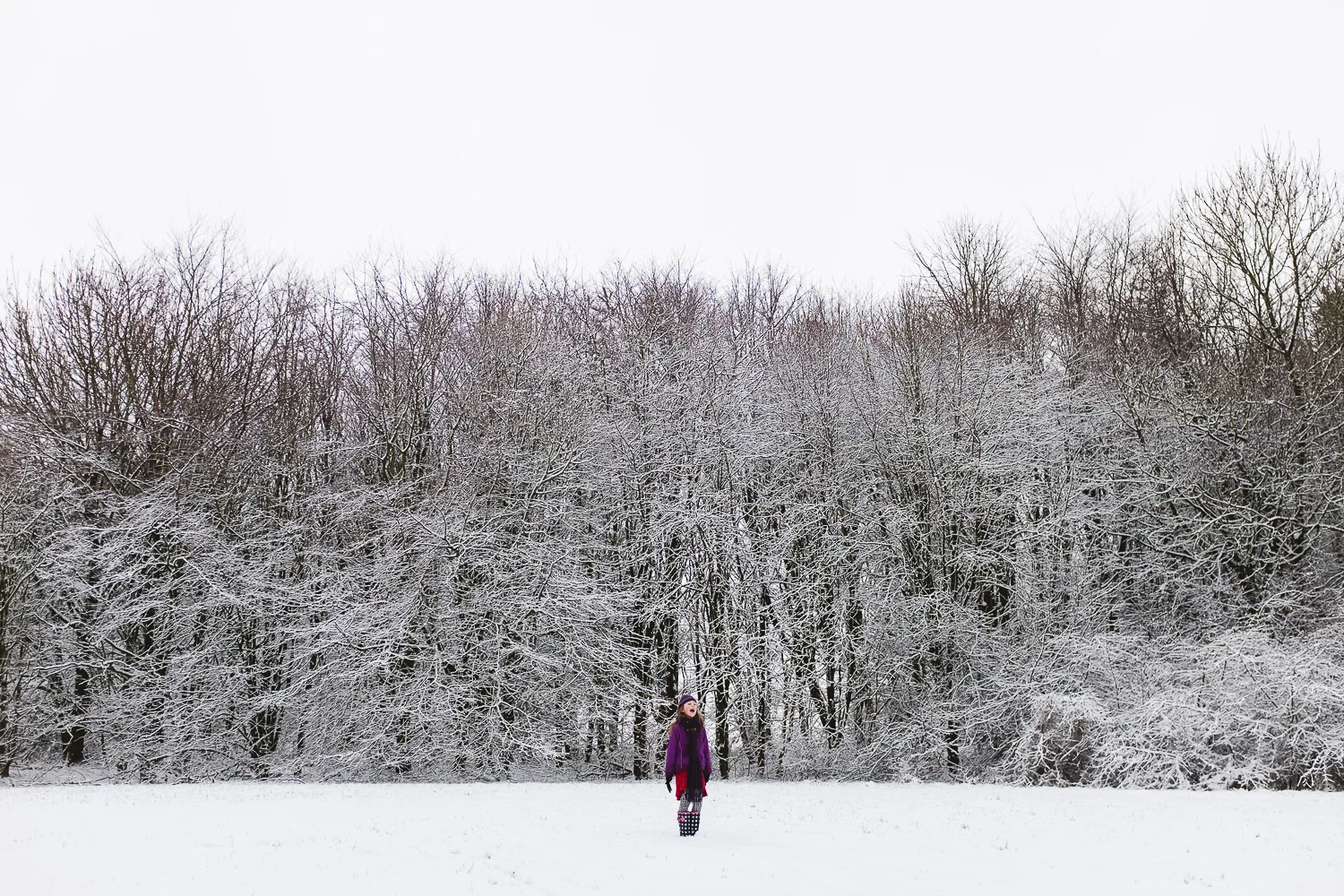 Snow day