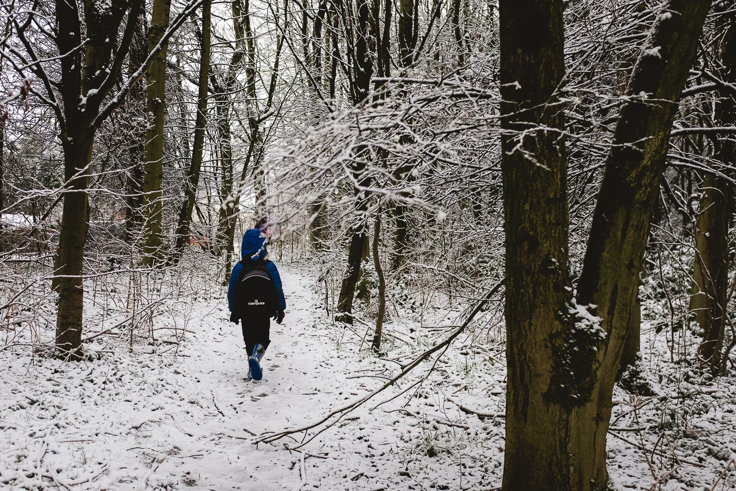 Snow day