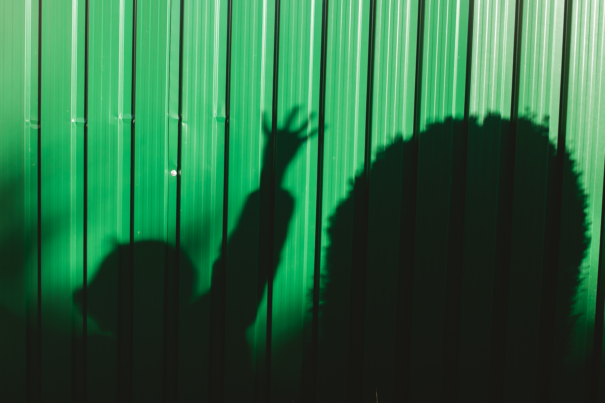 Shadow