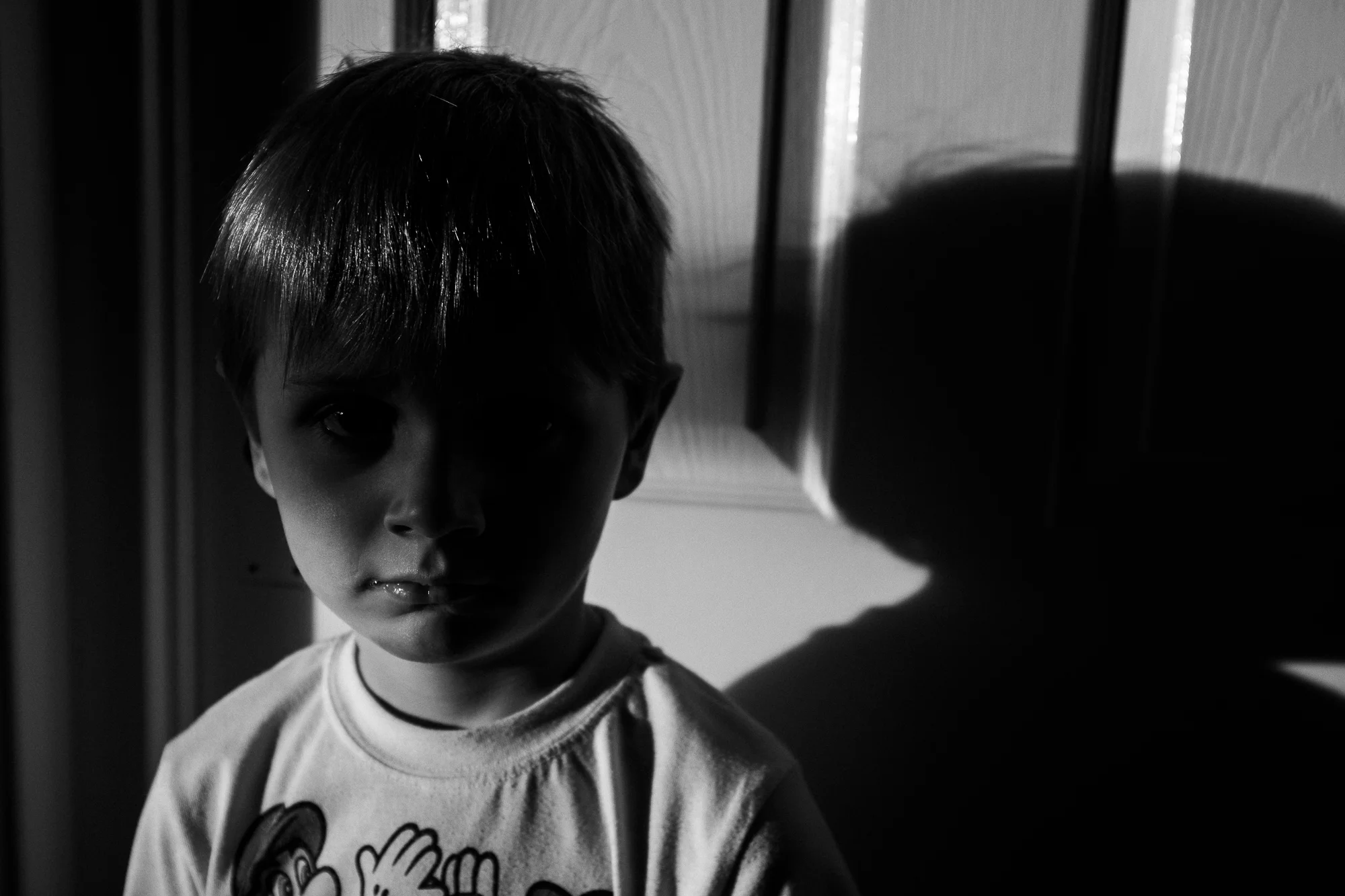 In the Shadows
