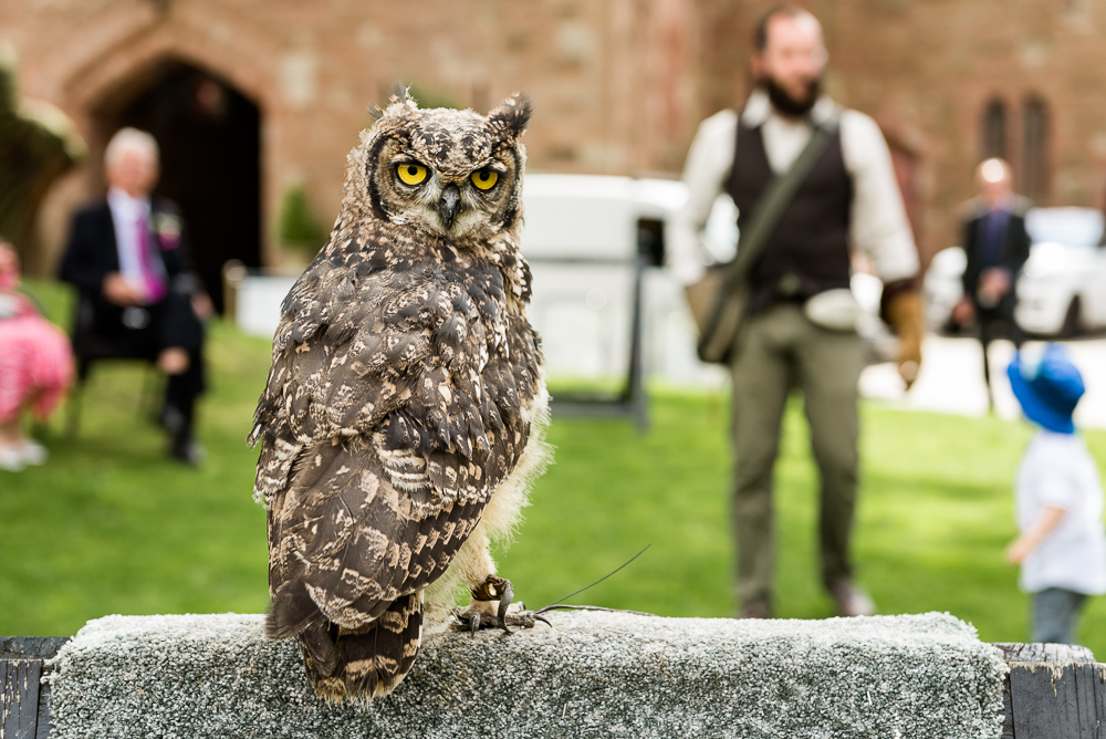 Castle Wedding at Peckforton Castle, Cheshire Owl Falconry Ian Stuart Bride Bandeoke - Jenny Harper Photography-52.jpg