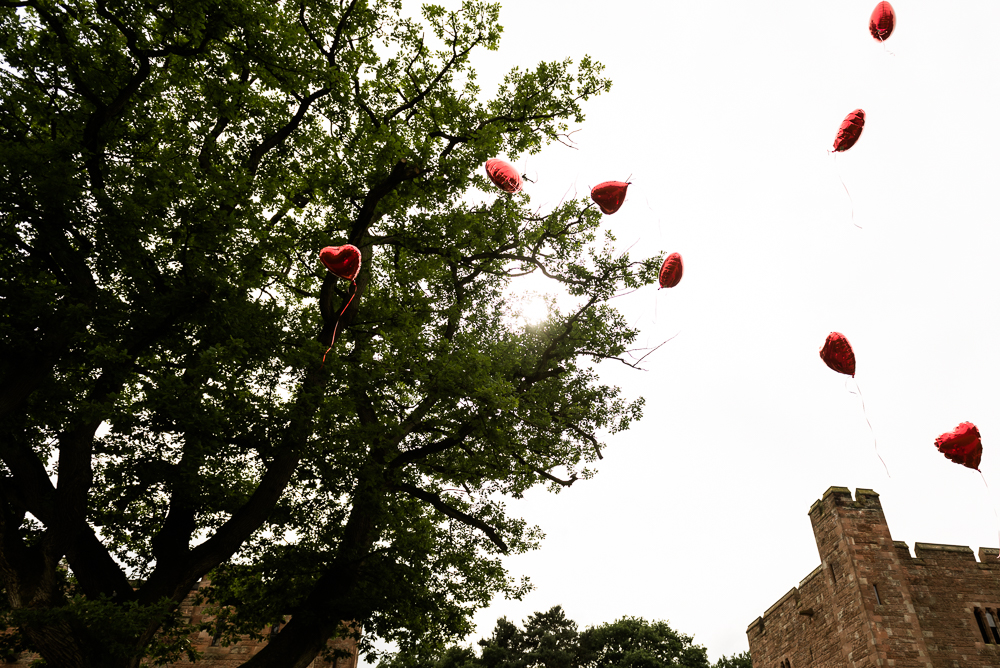 Castle Wedding at Peckforton Castle, Cheshire Owl Falconry Ian Stuart Bride Bandeoke - Jenny Harper Photography-62.jpg