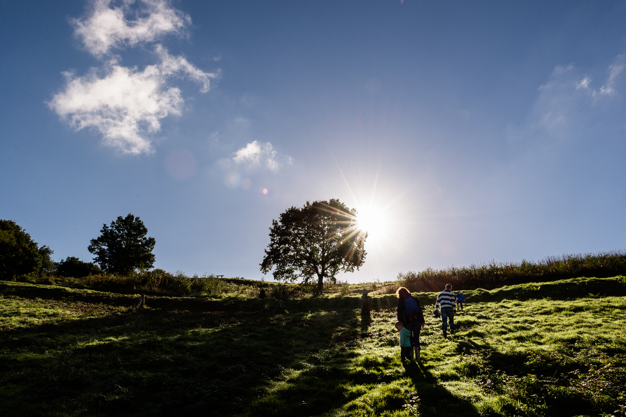 Documentary Family Photography at Clent Hills, Worcestershire Family Lifestyle Photography Woods Outdoors Trees Flying Kite - Jenny Harper-8.jpg