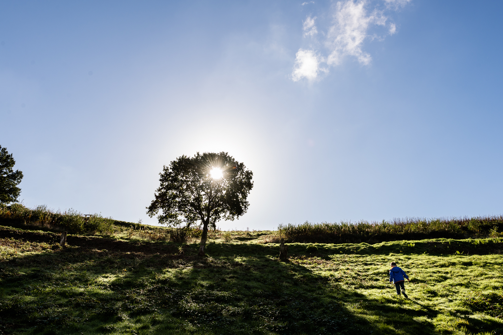 Documentary Family Photography at Clent Hills, Worcestershire Family Lifestyle Photography Woods Outdoors Trees Flying Kite - Jenny Harper-7.jpg