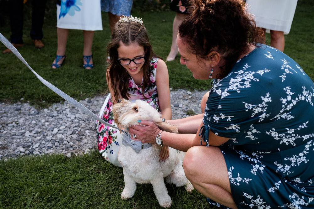 Summer Documentary Wedding Photography at Consall Hall Gardens Outdoor Ceremony Cockapoo dog - Jenny Harper-56.jpg