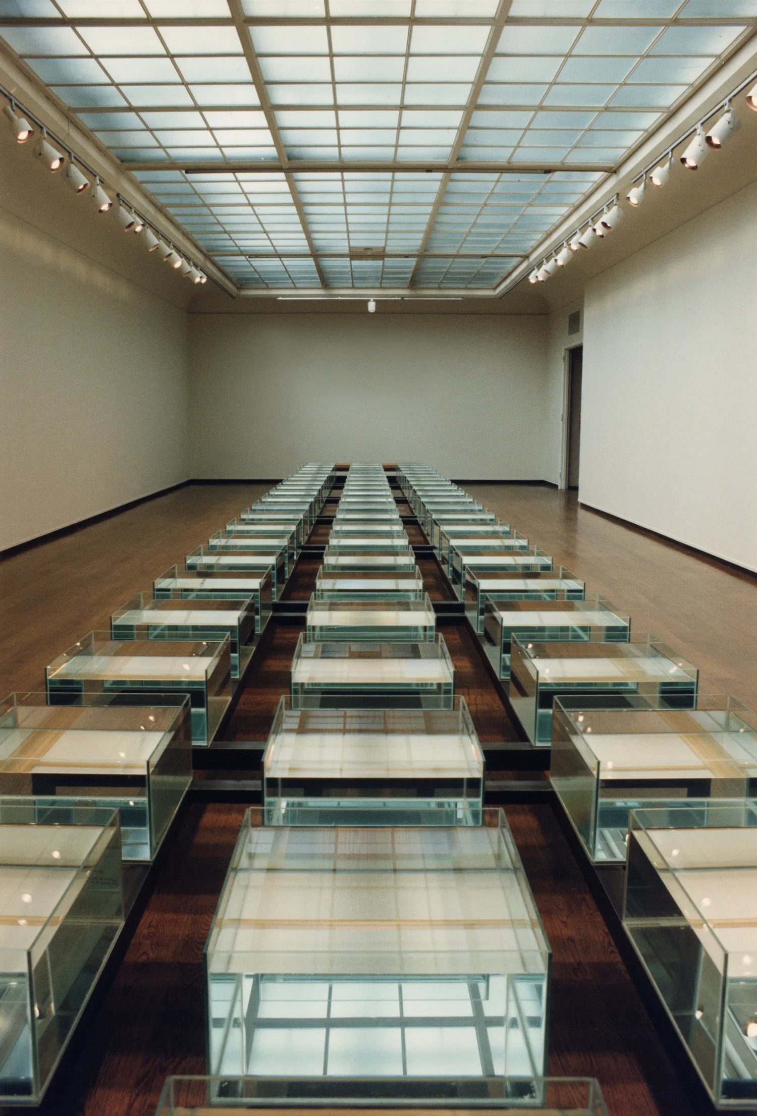 In Reflection color endview.jpg