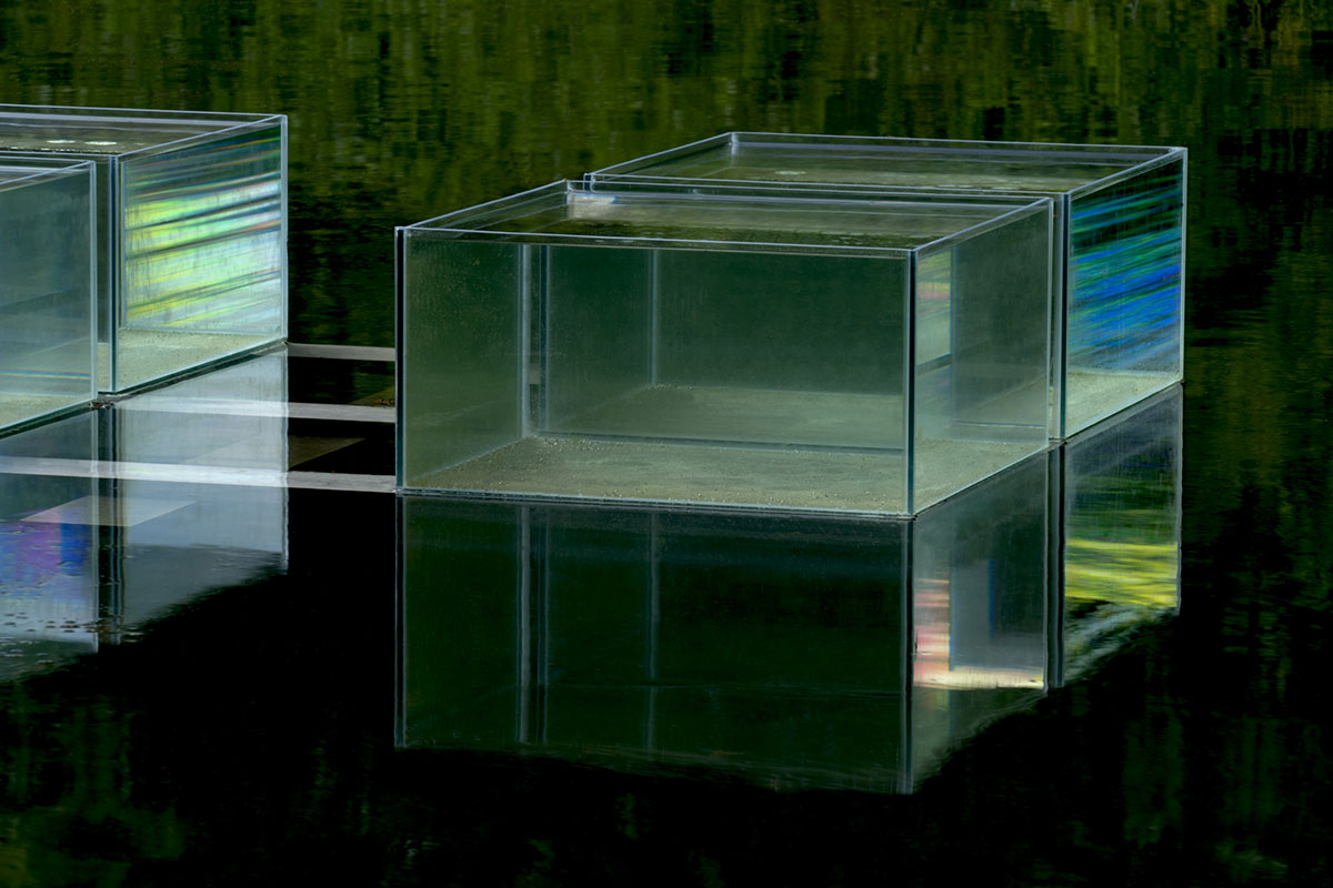 DSC08872.jpg
