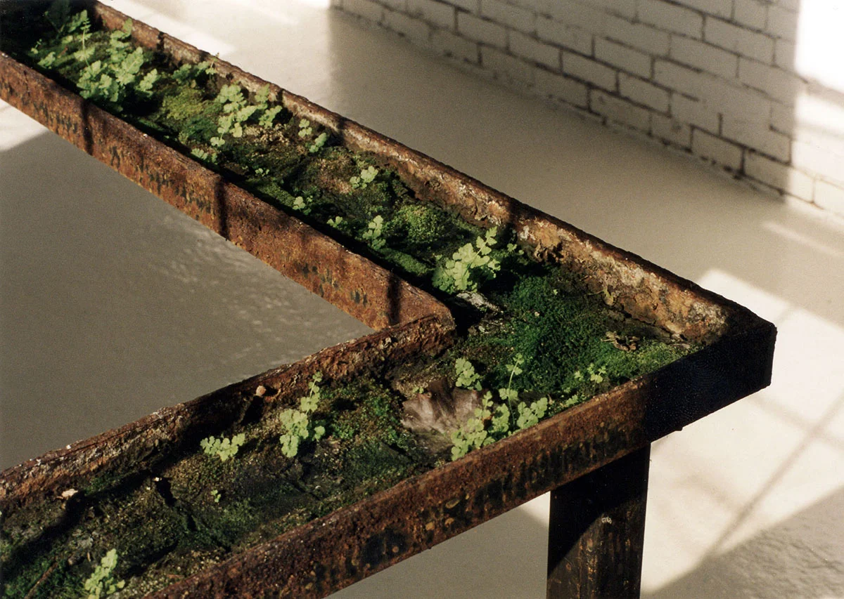 Canal Growth 002-2.jpg