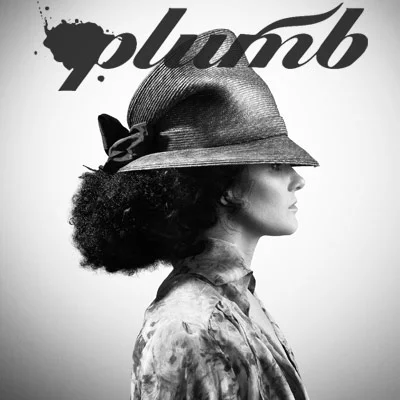 plumbnoisetradesampler2011.jpg