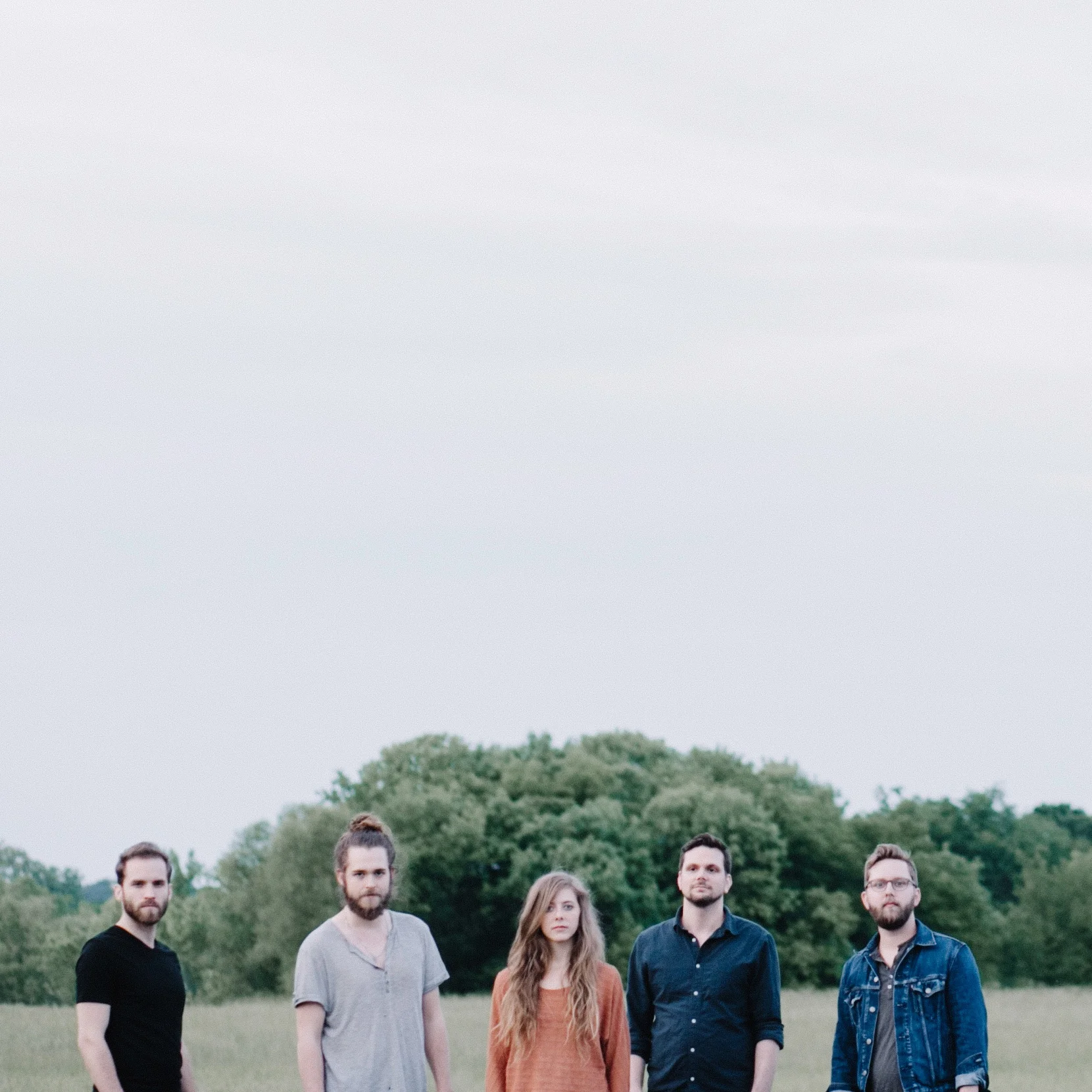 Birdtalker Field.jpg