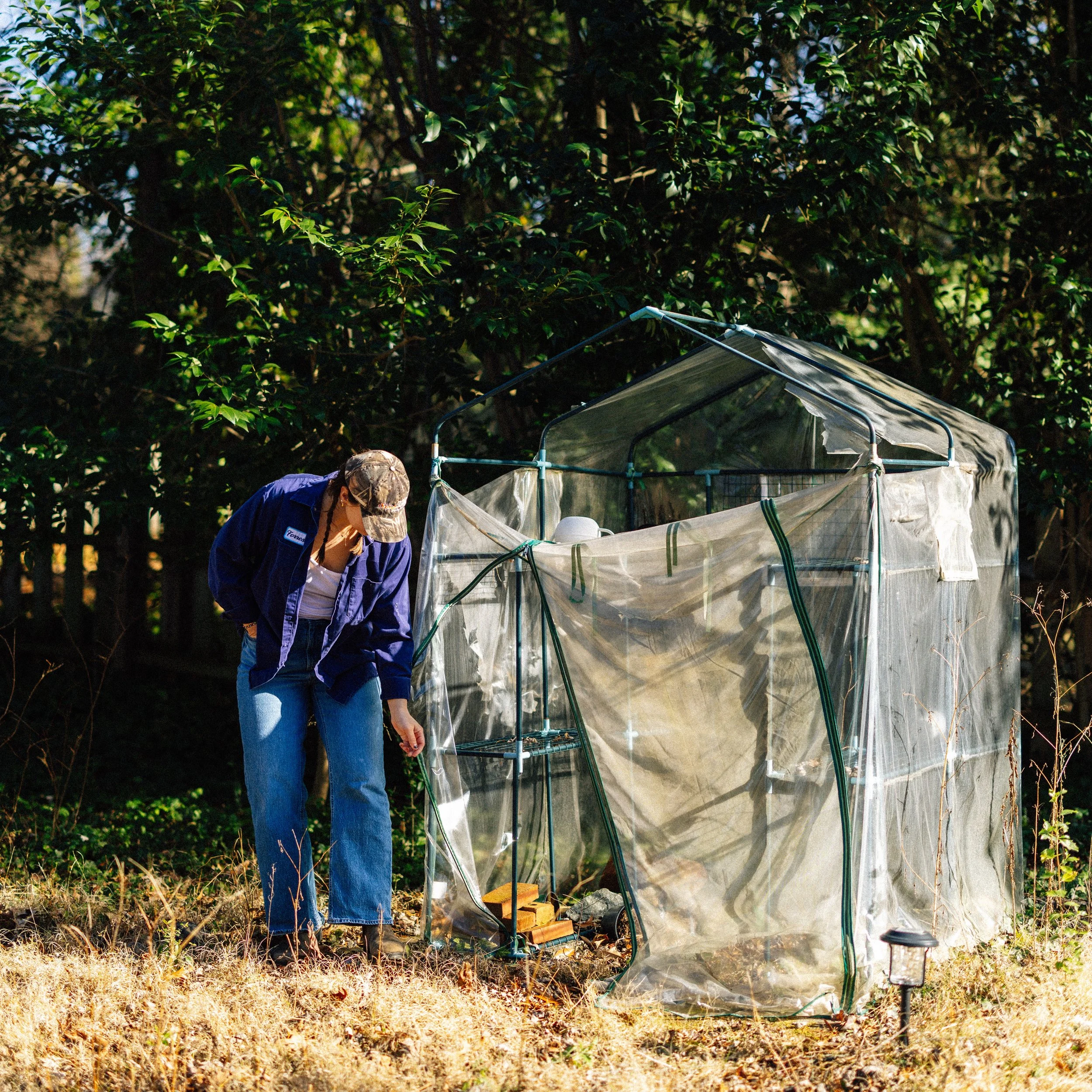 Press Center: Ali Forrest