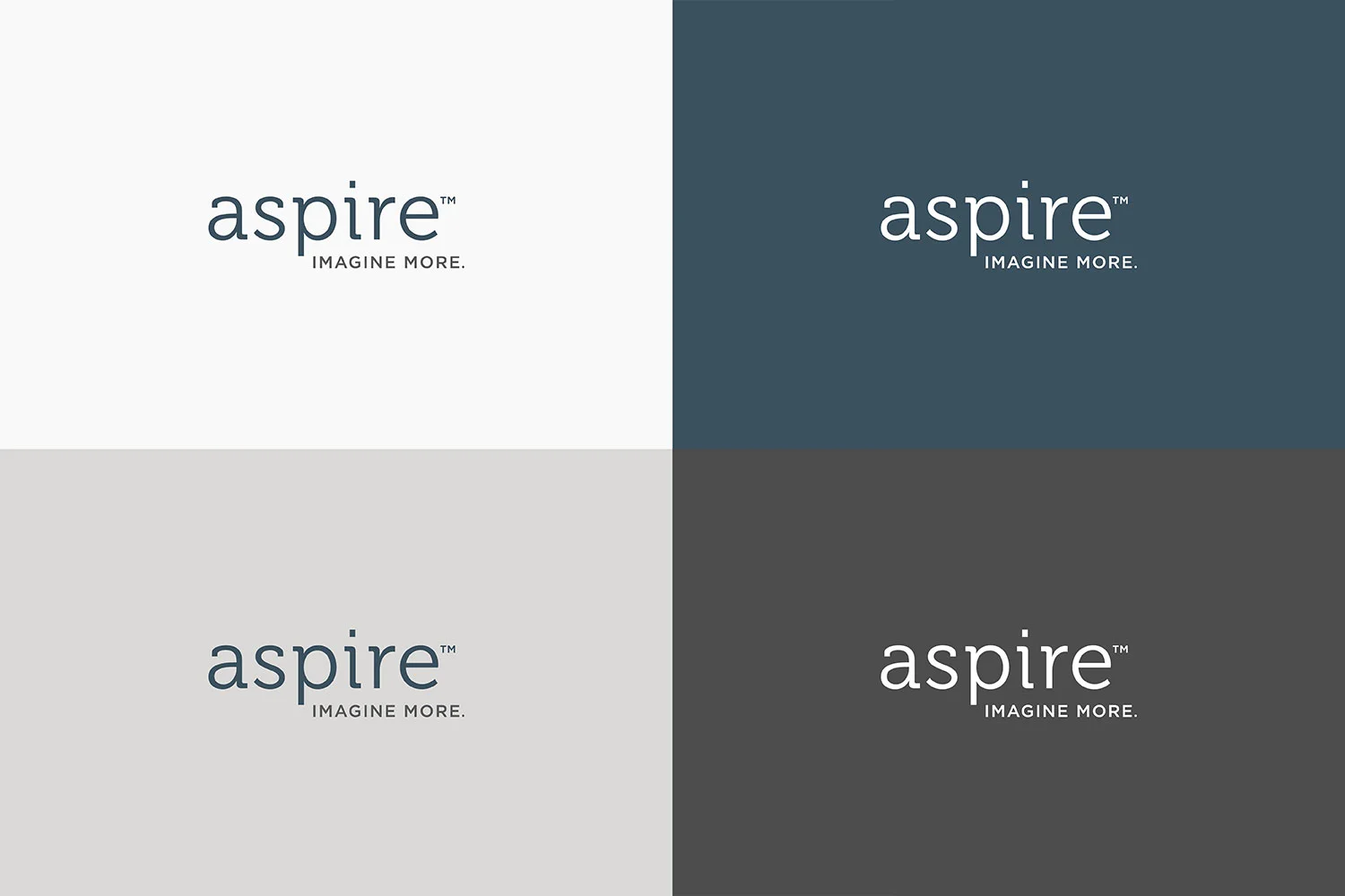 Aspire_Images_WEB2.jpg