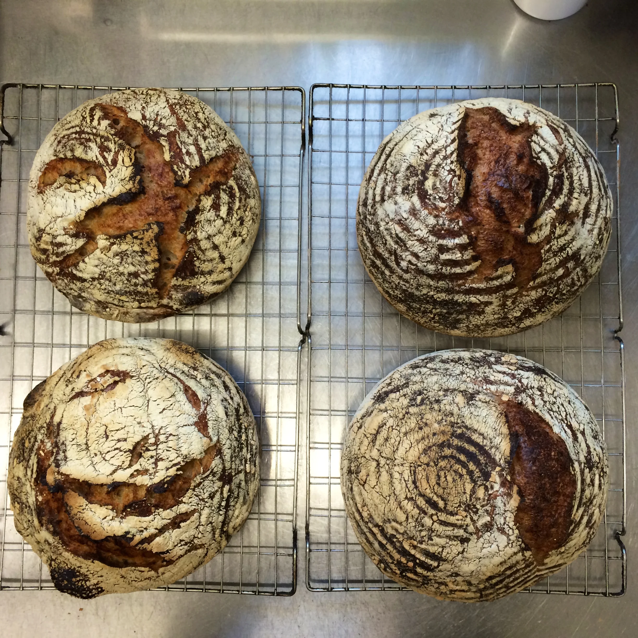 On the left are two pure sourdough loaves, made according to Ken Forkish's recipe and principles for Overnight Country Blonde. Top right is an organic white loaf made with 80% Biga Bottom right is a Pain du Campagne made with a combination of sourdough starter and organic yeast. 