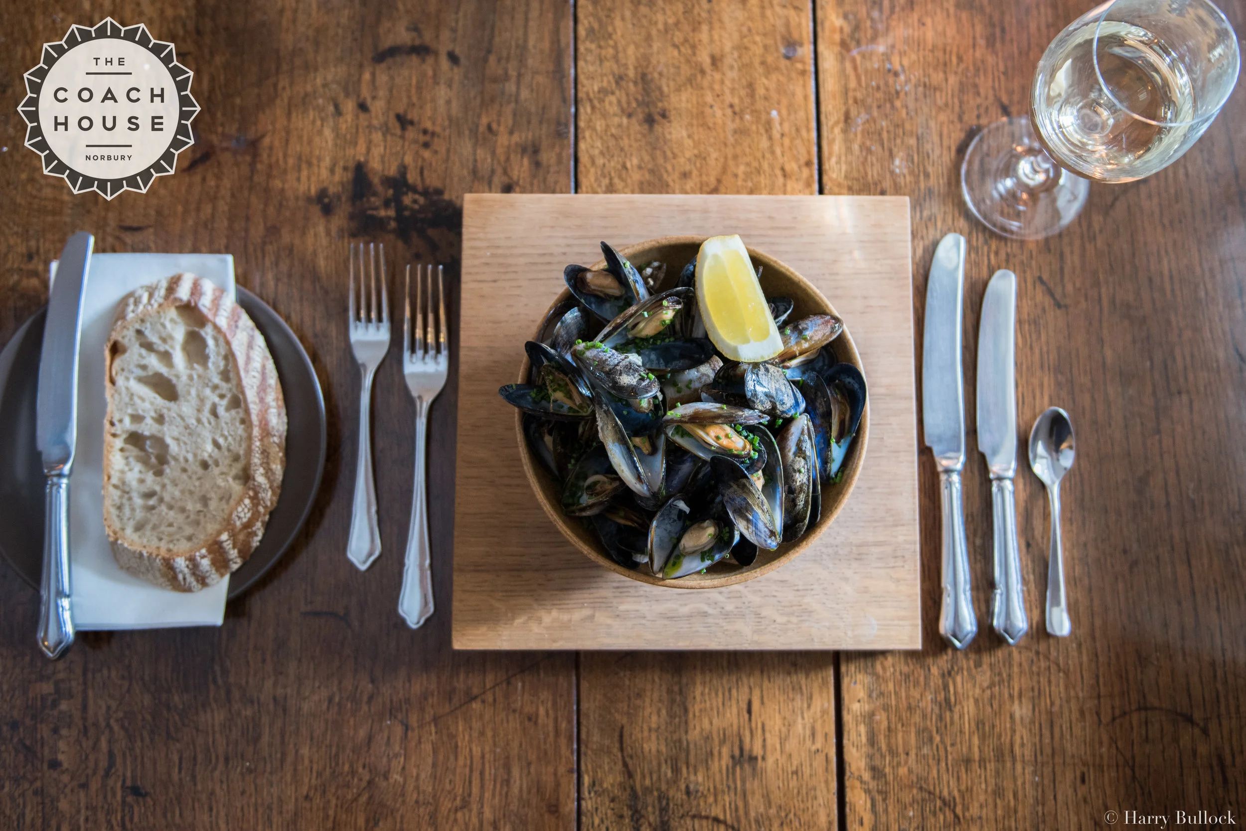 MUSSEL 3.jpg
