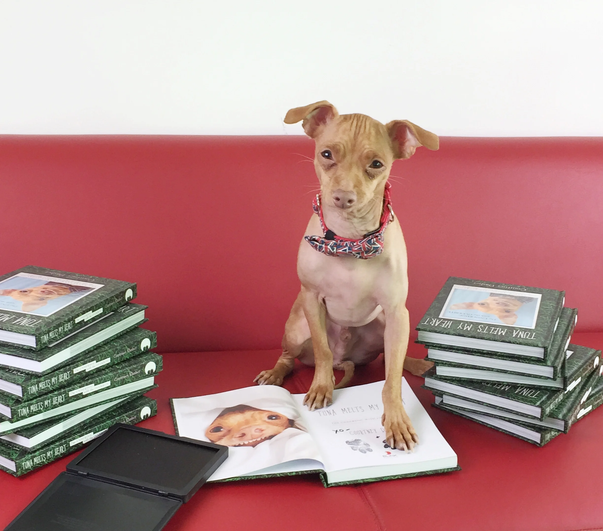 SOLD OUT! FOYLES SIGNING (LONDON,UK) 