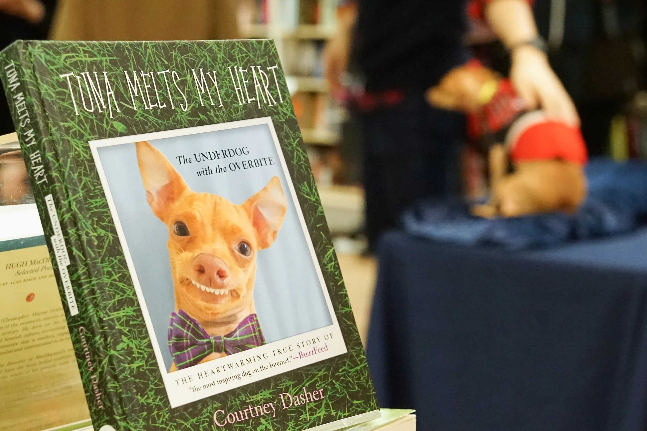 UK Book Tour: BIRMINGHAM