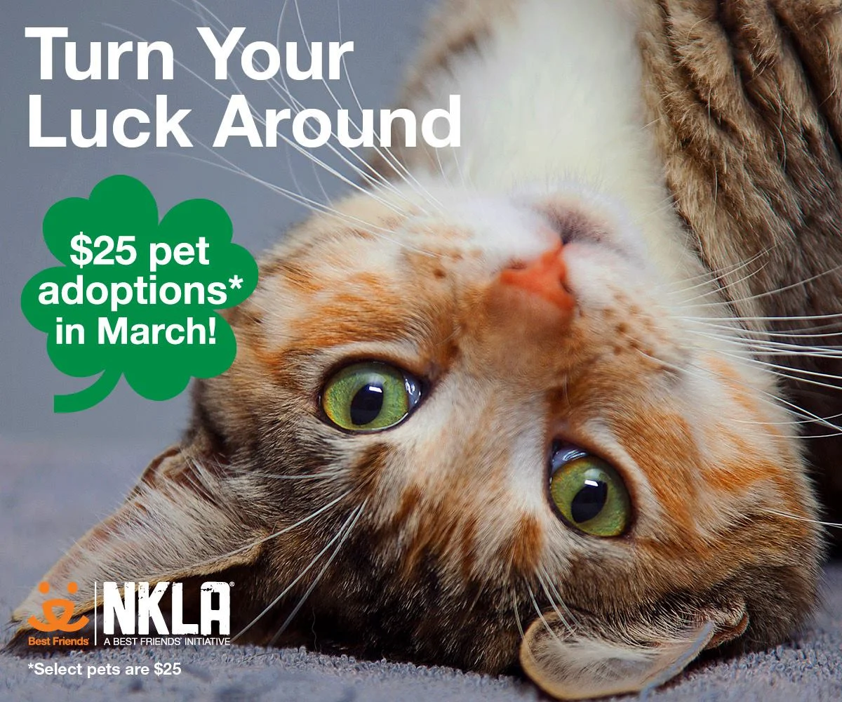 "TUNA" YOUR LUCK AROUND AT NKLA