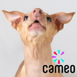 CAMEO VIDEO, $50 USD