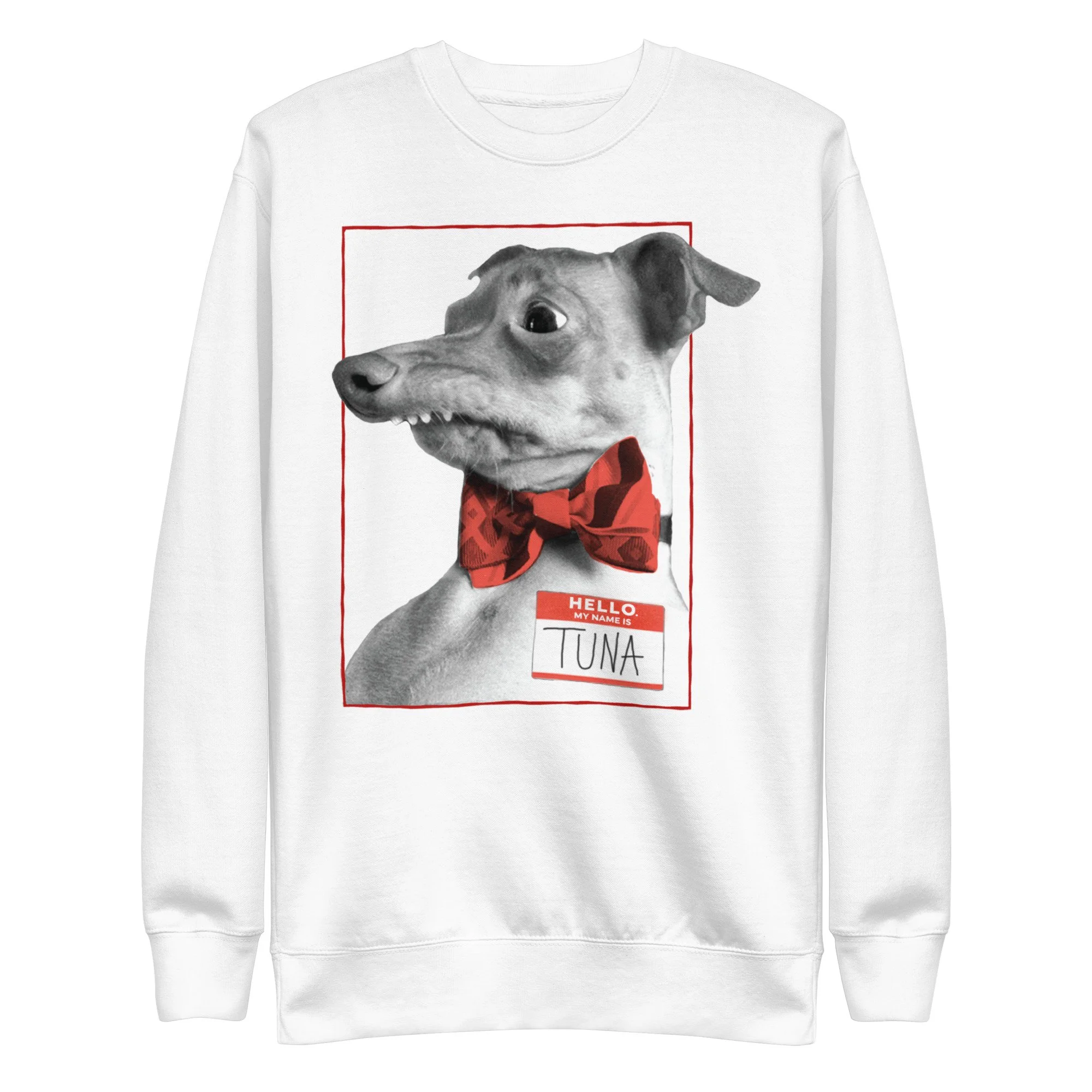 unisex-premium-sweatshirt-white-front-6a1627342314e.jpg