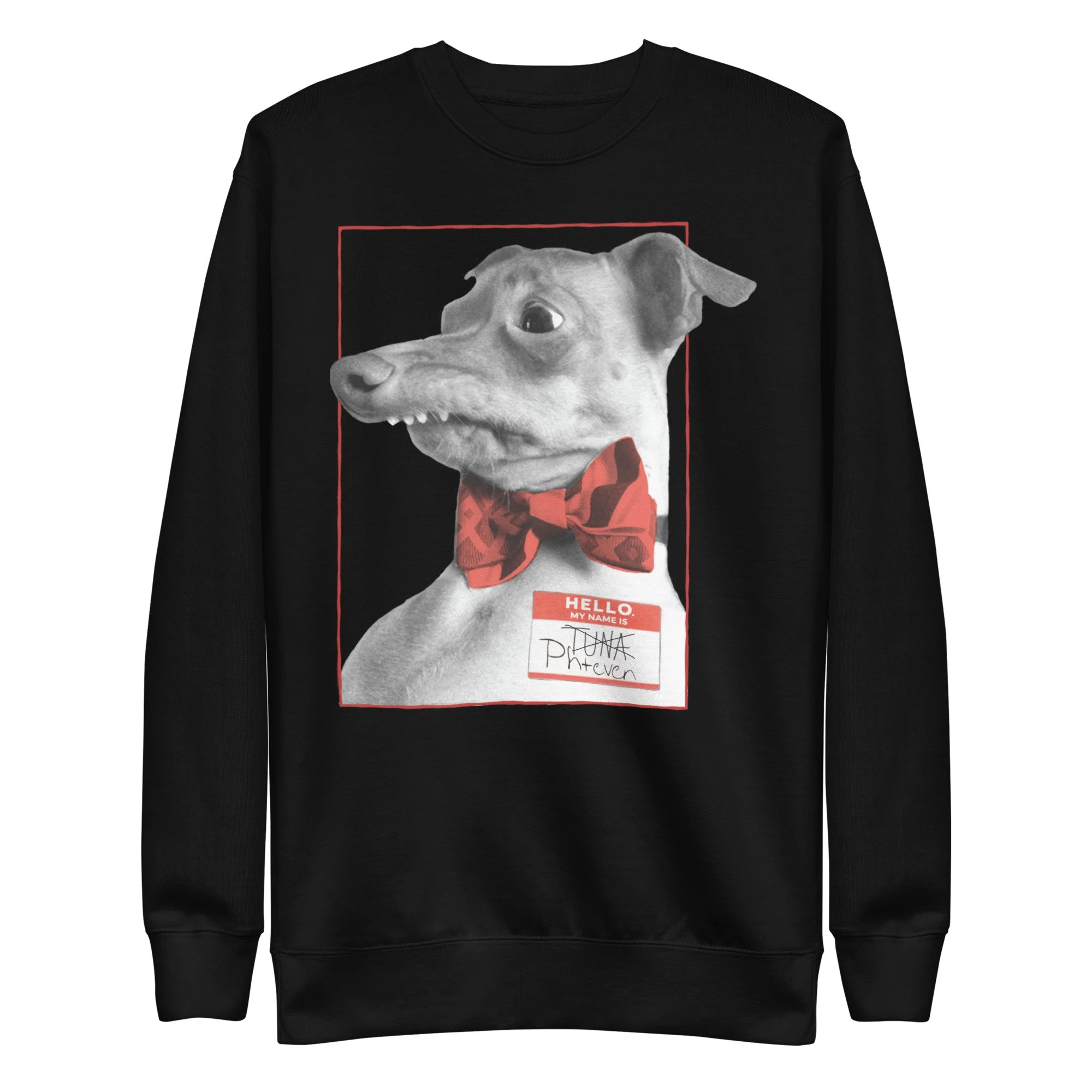 unisex-premium-sweatshirt-black-front-6a16279e6f8eb.jpg