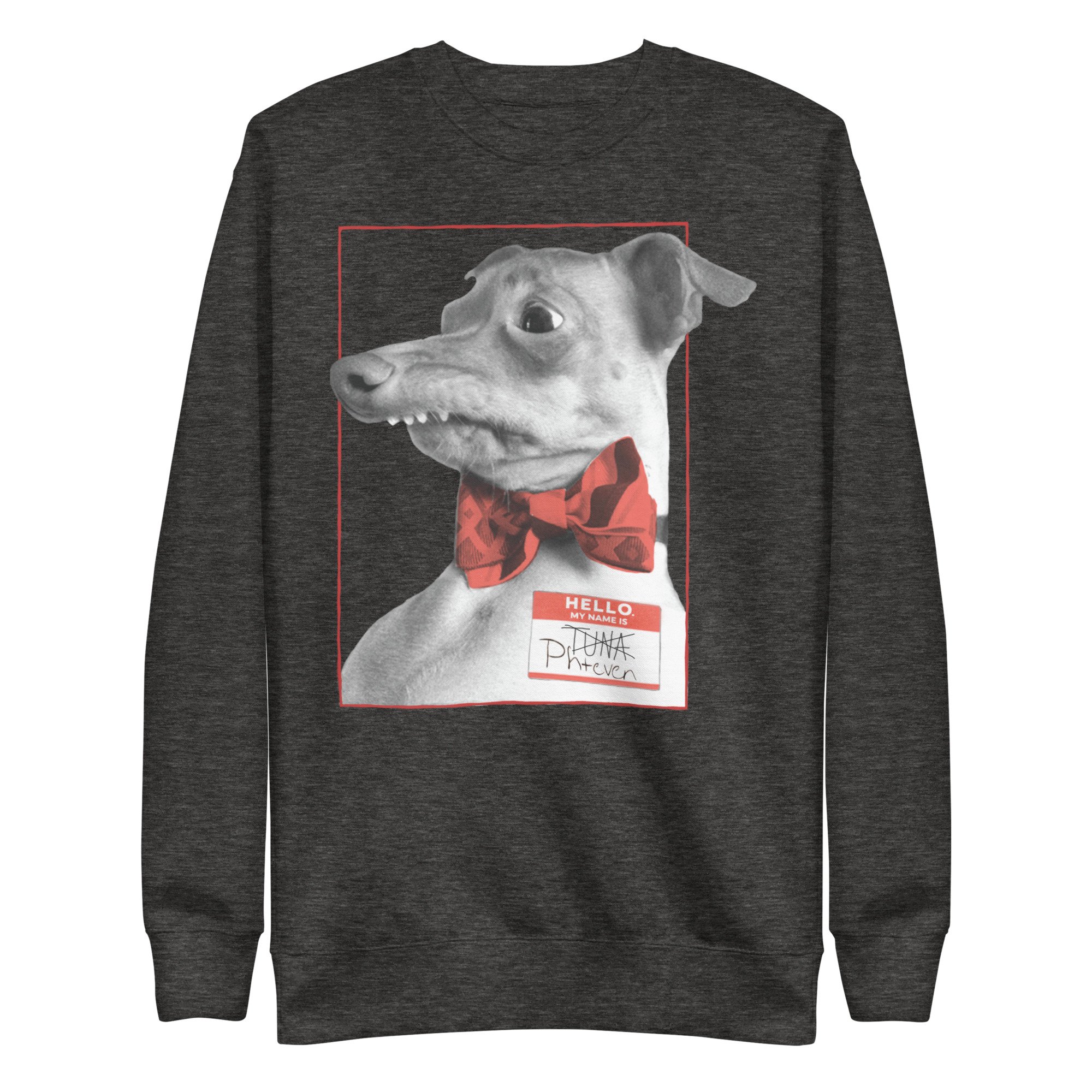 unisex-premium-sweatshirt-charcoal-heather-front-6a16279e734a5.jpg