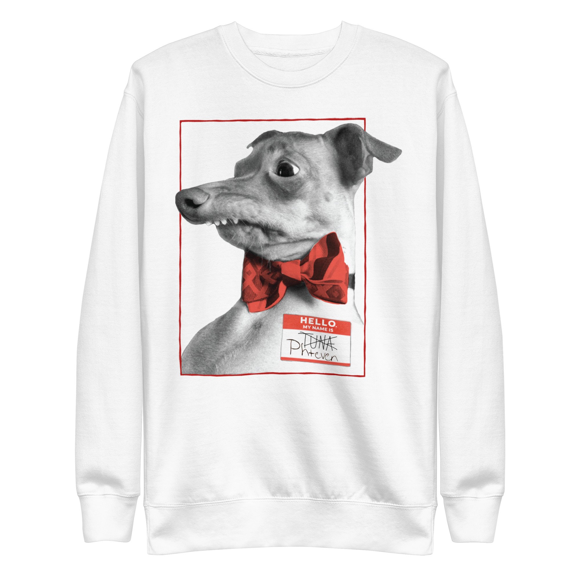 unisex-premium-sweatshirt-white-front-6a16279e77b01.jpg