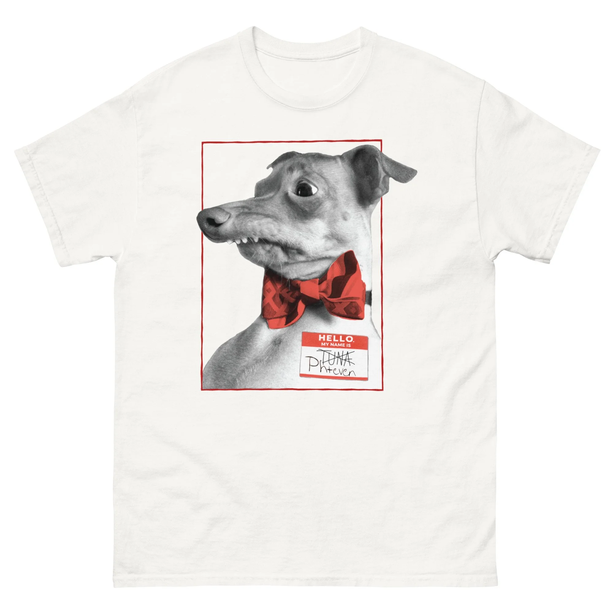 unisex-classic-tee-white-front-6a16370def6db.jpg